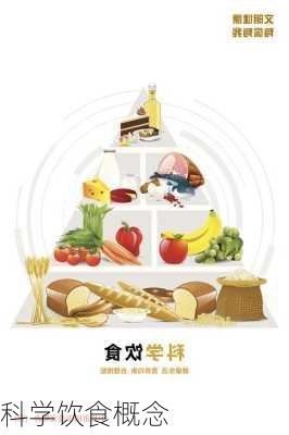 科学饮食概念