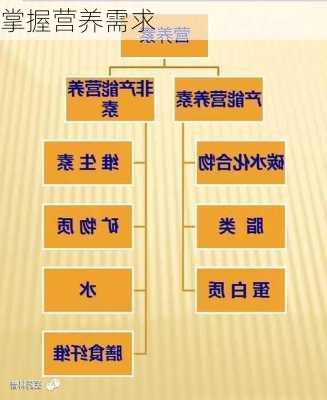 掌握营养需求