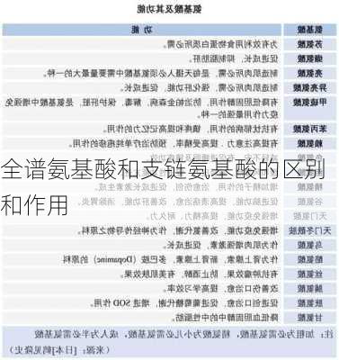 全谱氨基酸和支链氨基酸的区别和作用