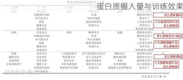 蛋白质摄入量与训练效果