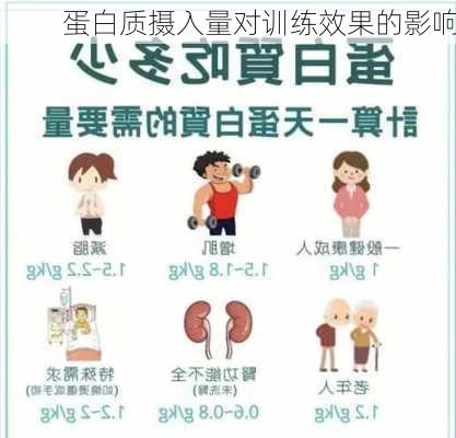 蛋白质摄入量对训练效果的影响