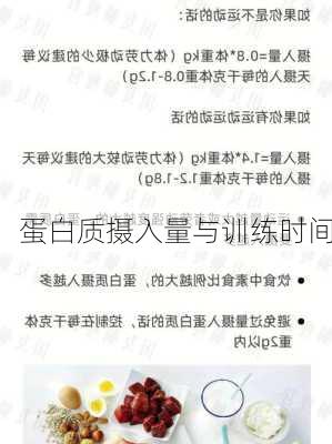 蛋白质摄入量与训练时间