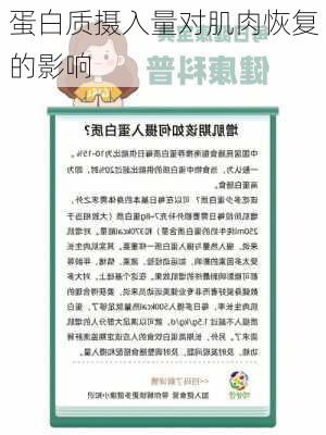 蛋白质摄入量对肌肉恢复的影响