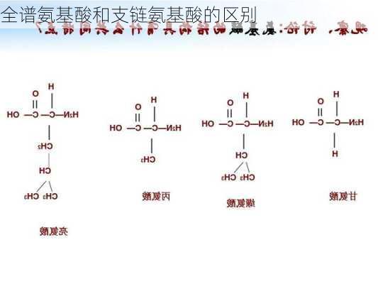 全谱氨基酸和支链氨基酸的区别