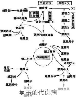 氨基酸代谢病