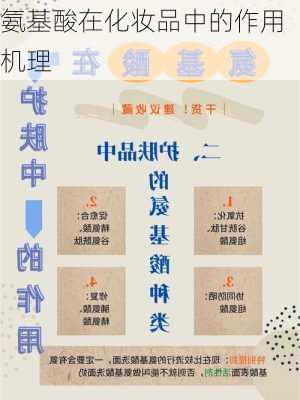 氨基酸在化妆品中的作用机理