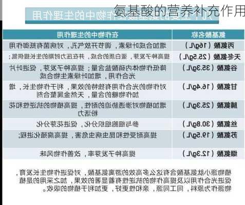 氨基酸的营养补充作用