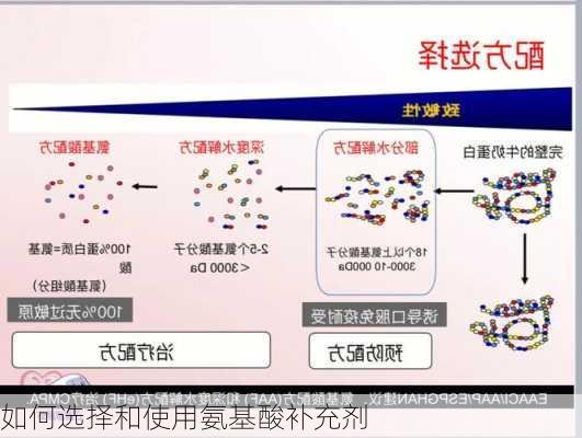 如何选择和使用氨基酸补充剂