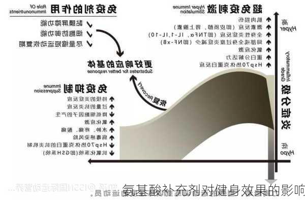 氨基酸补充剂对健身效果的影响