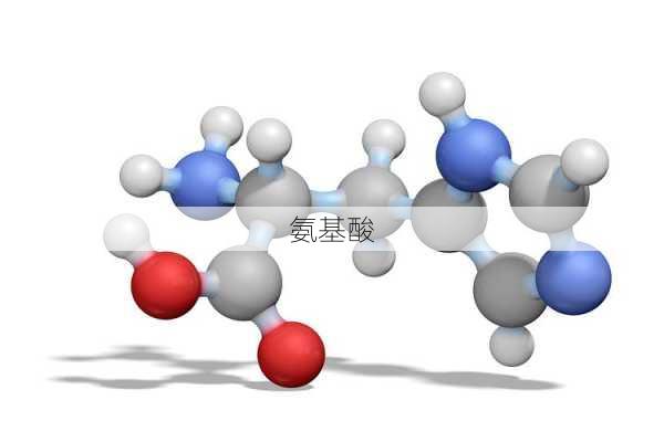 氨基酸