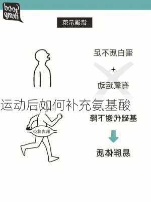 运动后如何补充氨基酸