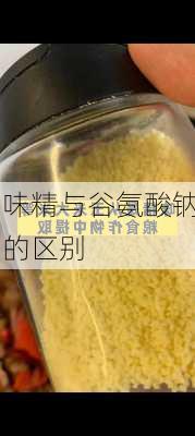 味精与谷氨酸钠的区别