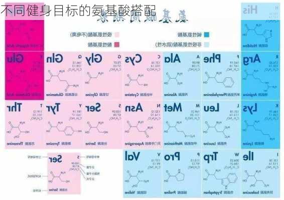不同健身目标的氨基酸搭配