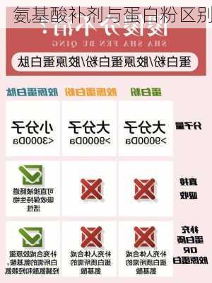 氨基酸补剂与蛋白粉区别