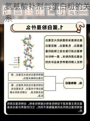 氨基酸补剂与蛋白粉的关系