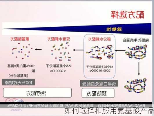 如何选择和服用氨基酸产品