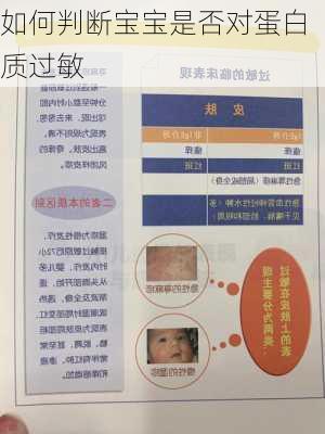 如何判断宝宝是否对蛋白质过敏