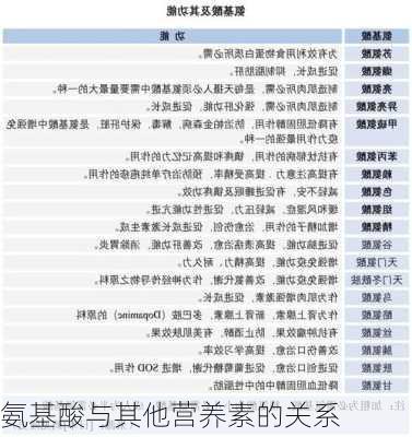 氨基酸与其他营养素的关系