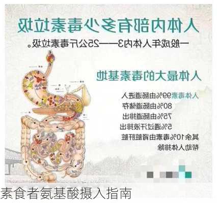 素食者氨基酸摄入指南