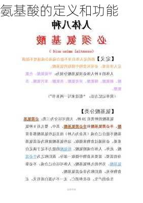 氨基酸的定义和功能