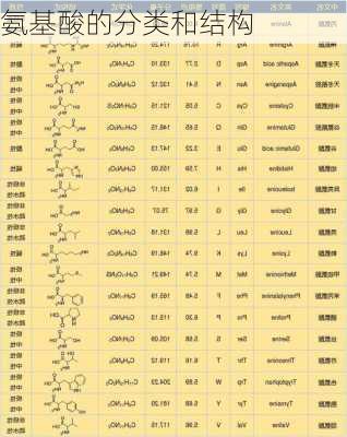 氨基酸的分类和结构