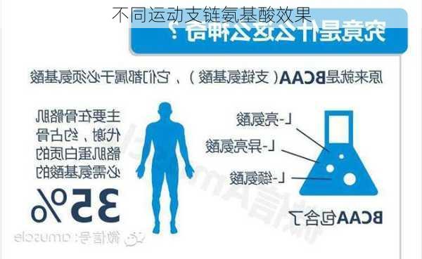 不同运动支链氨基酸效果