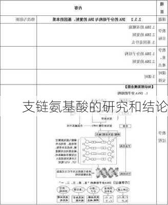 支链氨基酸的研究和结论