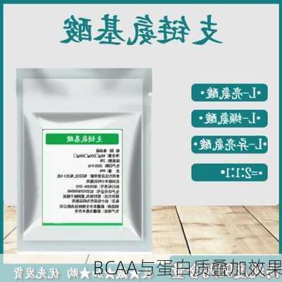 BCAA与蛋白质叠加效果