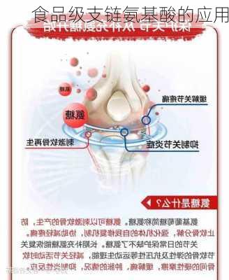 食品级支链氨基酸的应用