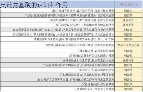 支链氨基酸的认知和作用