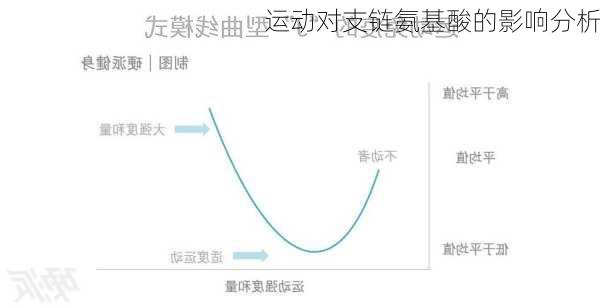 运动对支链氨基酸的影响分析