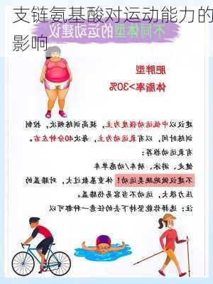 支链氨基酸对运动能力的影响