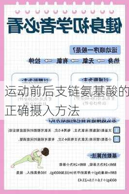 运动前后支链氨基酸的正确摄入方法