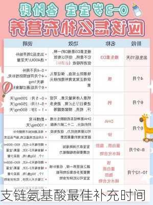 支链氨基酸最佳补充时间