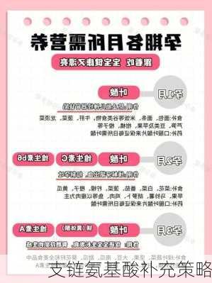 支链氨基酸补充策略