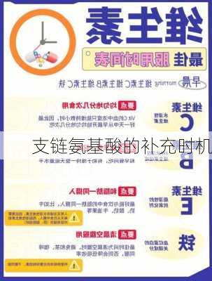 支链氨基酸的补充时机