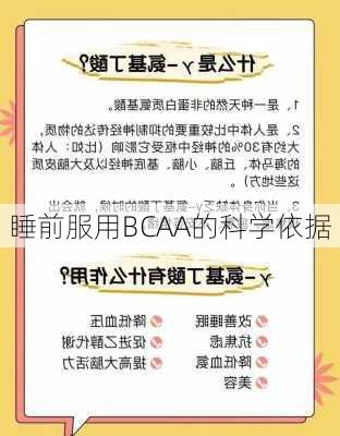 睡前服用BCAA的科学依据