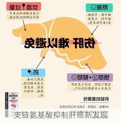 支链氨基酸抑制肝癌新发现