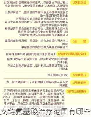 支链氨基酸治疗范围有哪些