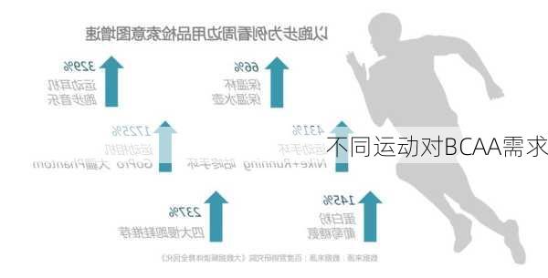 不同运动对BCAA需求