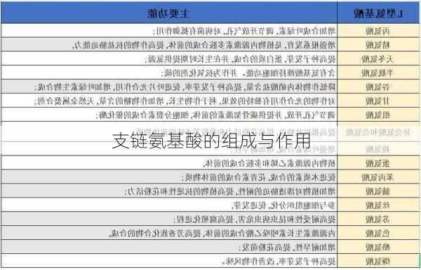 支链氨基酸的组成与作用