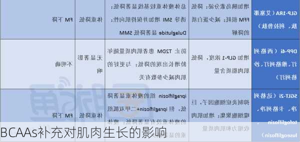 BCAAs补充对肌肉生长的影响