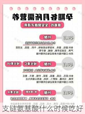 支链氨基酸什么时候吃好