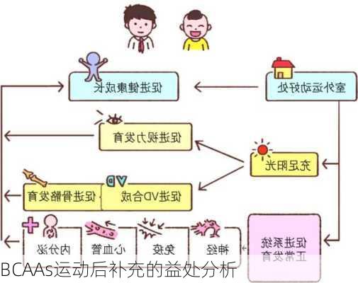 BCAAs运动后补充的益处分析
