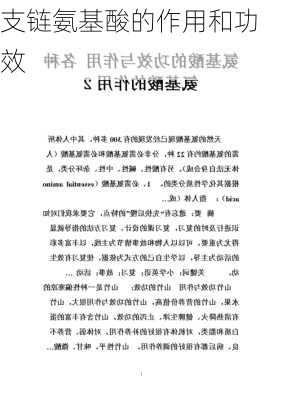 支链氨基酸的作用和功效