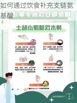 如何通过饮食补充支链氨基酸