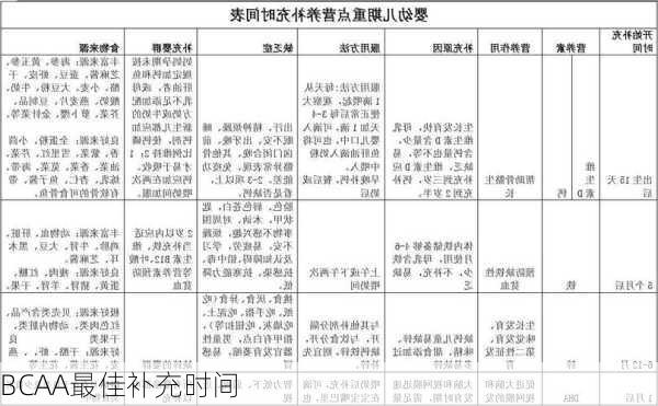 BCAA最佳补充时间
