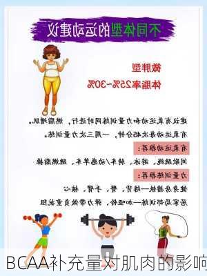 BCAA补充量对肌肉的影响