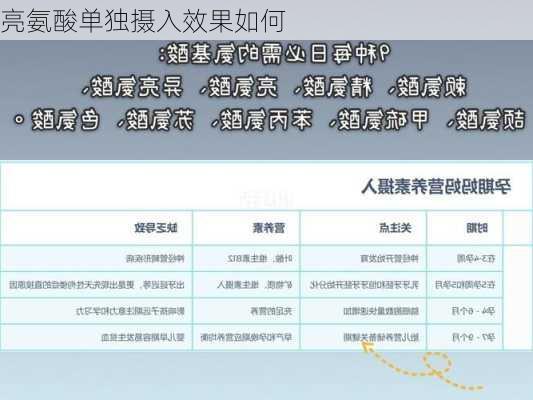 亮氨酸单独摄入效果如何