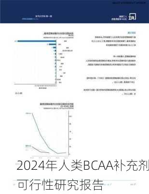 2024年人类BCAA补充剂可行性研究报告
